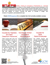 STE[S Informational flyer 